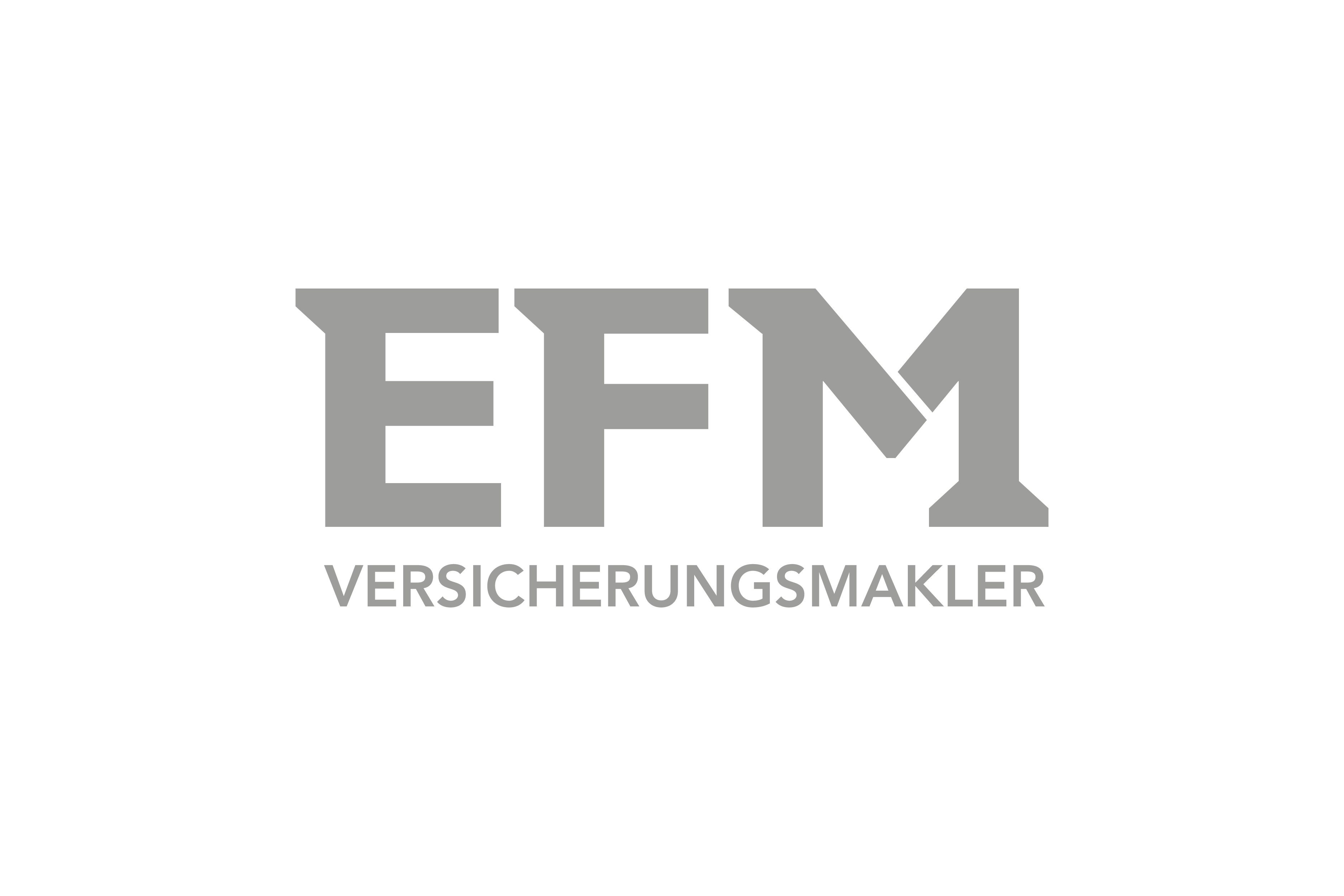 EFM Versicherung Visitenkarten Design Vargavision