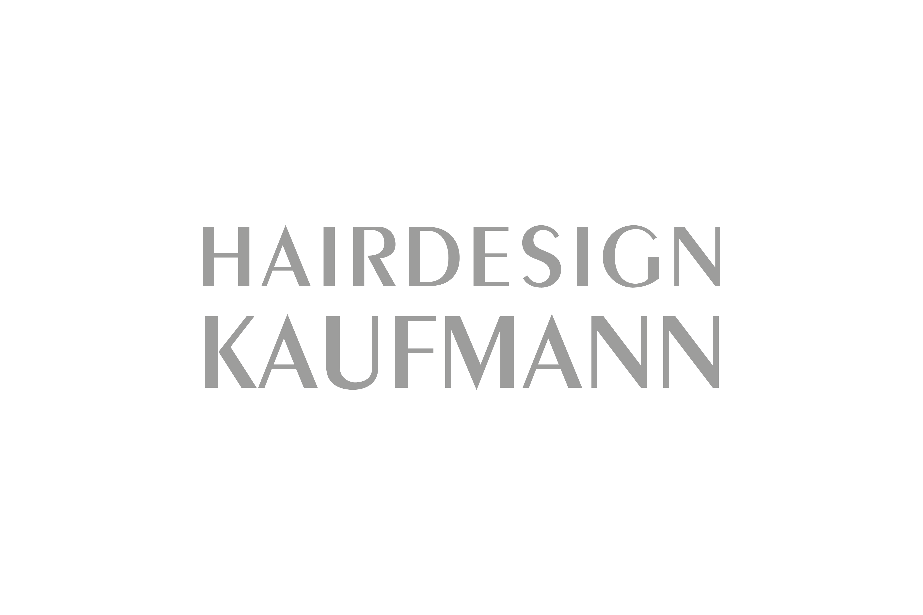 Hairdesign Kaufmann Grafikdesign Vargavision